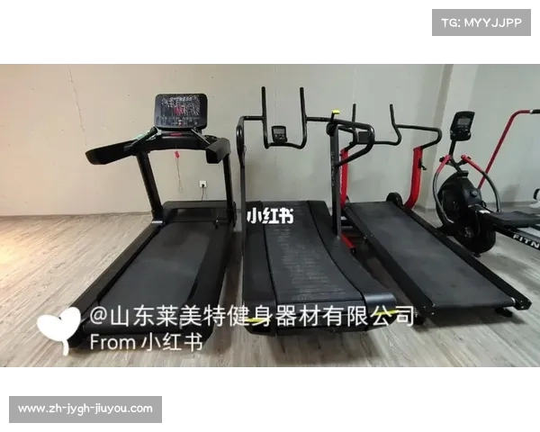 莱美健身器材详细介绍:莱美品牌健身器材系列全解析 莱美健身器材详细介绍:莱美品牌健身器材系列全解析